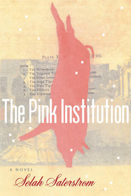 The Pink Institution (Paperback)