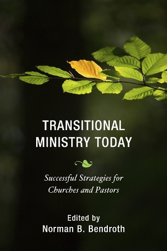 Transitional Ministry Today: Successful Strategies for Churches and Pastors (Hardback)