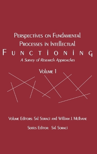 Perspectives on Fundamental Processes in Intellectual Functioning: Vol 1: A Survey of Research Approaches (Hardback)