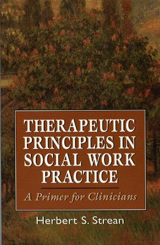 Therapeutic Principles in Social Work Practice: A Primer for Clinicians (Paperback)