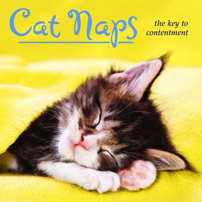 Cat Naps: The Key to Contentment (Hardback)