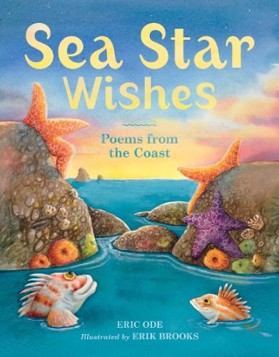 Sea Star Wishes (Hardback)