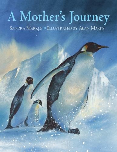 A Mother's Journey, A (Hardback)