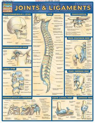 Joints & Ligaments