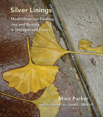 Silver Linings: Meditations on Finding Joy and Beauty in Unexpected Places (Hardback)