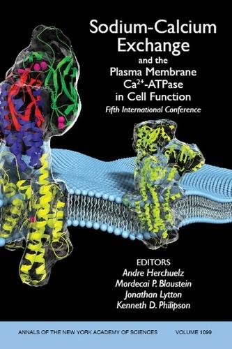 Sodium-Calcium Exchange and the Plasma Membrane Ca2+-ATPase in Cell Function: Fifth International Conference, Volume 1099 - Annals of the New York Academy of Sciences (Paperback)