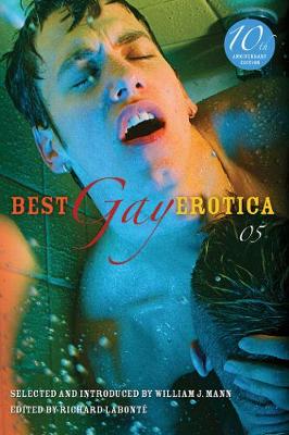 Best Gay Erotica 2005 (Paperback)
