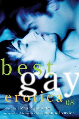 Best Gay Erotica 2008 (Paperback)