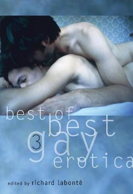 Best of Best Gay Erotica 3 (Paperback)