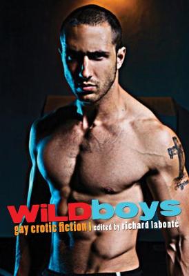 Wild Boys: Gay Erotic Fiction (Paperback)