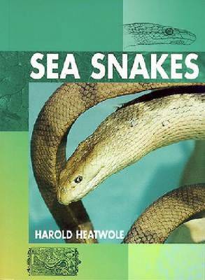 Sea Snakes (Hardback)