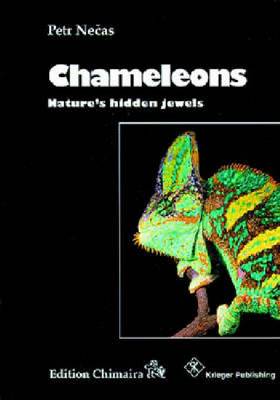 Chameleons: Nature's Hidden Jewels (Hardback)