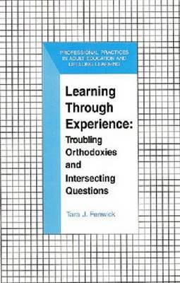 Learning through Experience: Troubling Orthodoxies and Intersecting Questions (Hardback)
