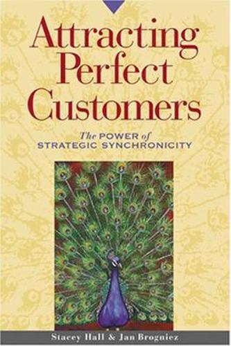 Attracting Perfect Customers (Paperback)