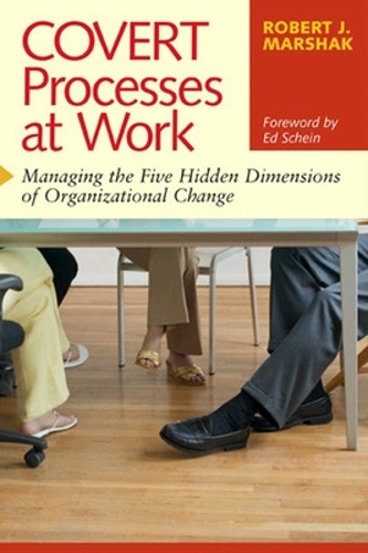 Covert Processes at Work: Managing the Hidden Dimensions of Organizational Change: Managing the Hidden Dimensions of Organisational Change (Paperback)