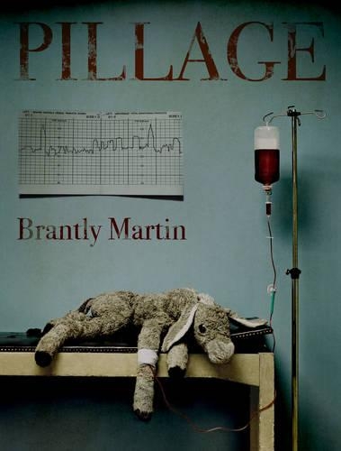 Pillage (Paperback)