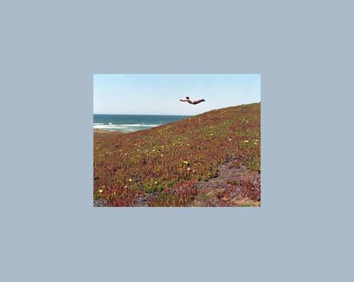 Flying Pictures (Hardback)