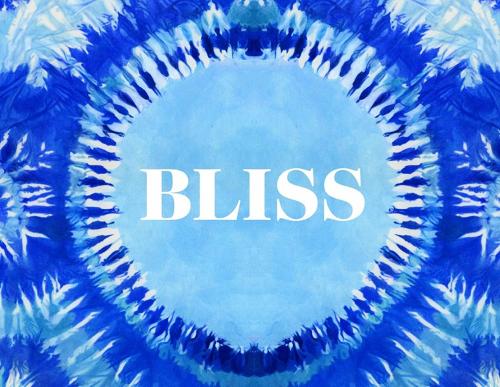 Bliss: An Exploration of the Current Hippie Counterculture & Transformational Festivals (Hardback)