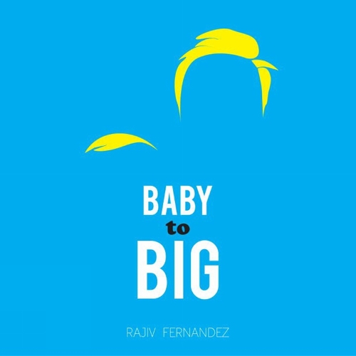 Baby To Big (Hardback)