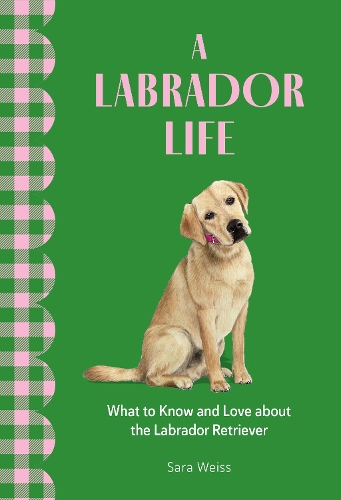 Sara Weiss A Labrador Life
