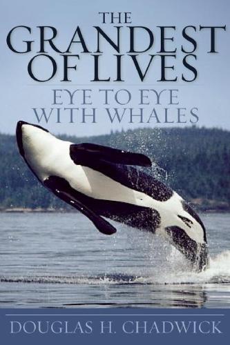 The Grandest of Lives: Eye to Eye with Whales (Paperback)