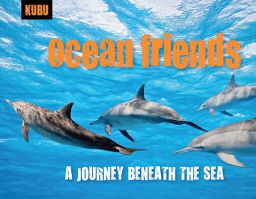 Ocean Friends: A Journey Beneath the Sea (Paperback)