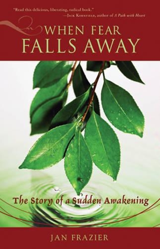 When Fear Falls Away: The Story of a Sudden Awakening (Paperback)