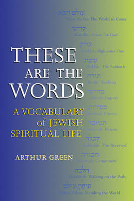 These are the Words: A Vocabulary of Jewish Spiritual Life (Paperback)