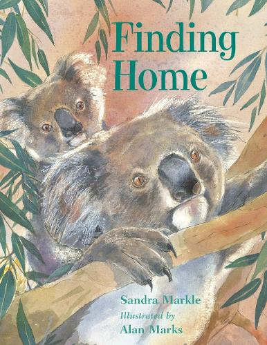 Finding Home (Paperback)