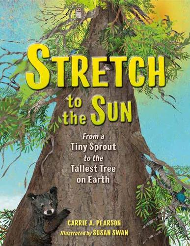 Stretch to the Sun: From a Tiny Sprout to the Tallest Tree on Earth (Hardback)