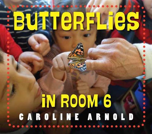 Butterflies in Room 6 - See How They Grow (Hardback)