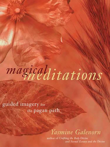 Magical Meditations: Guided Imagery for the Pagan Path (Paperback)