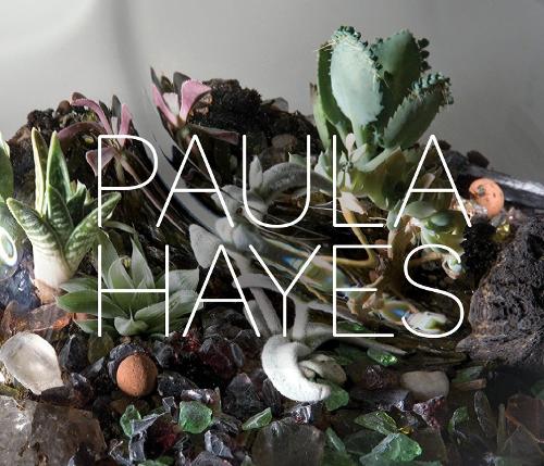 Paula Hayes (Hardback)
