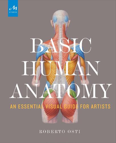 Basic Human Anatomy by Roberto Osti, Peter Drake