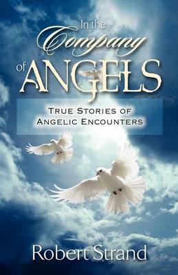 In the Company of Angels (Paperback)
