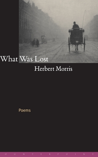 What Was Lost: Poems (Hardback)