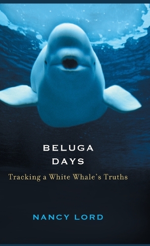 Beluga Days: Tracking a White Whale's Truths (Hardback)