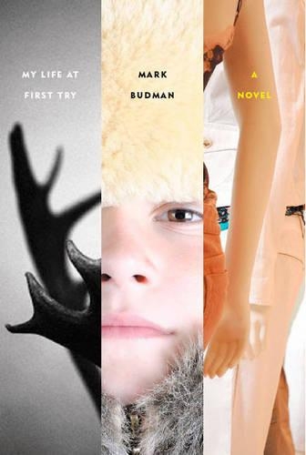My Life at First Try: A Novel (Hardback)