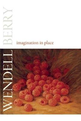 Imagination in Place (Hardback)