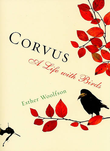 Corvus: A Life with Birds (Paperback)