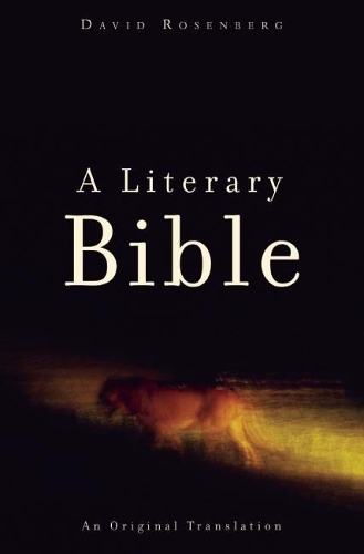 A Literary Bible: An Original Translation (Paperback)
