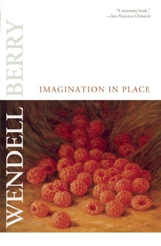 Imagination in Place (Paperback)