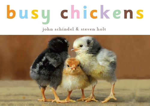 Busy Chickens - Busy Series (Board book)
