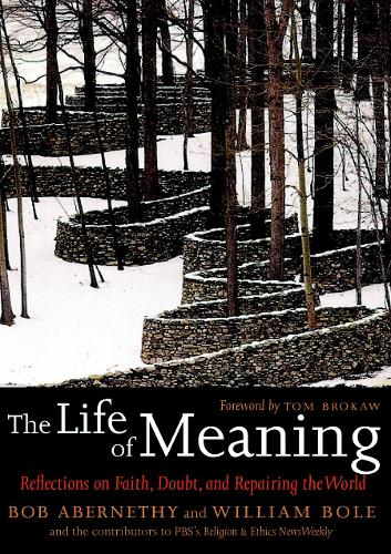 The Life Of Meaning: Reflections on Faith, Doubt and Repairing the World (Hardback)