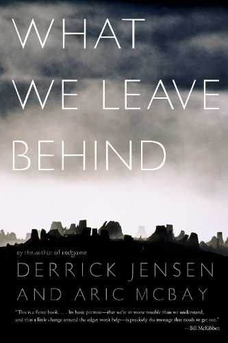 What We Leave Behind (Paperback)