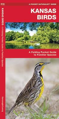 Kansas Birds: A Folding Pocket Guide to Familiar Species - Pocket Naturalist Guide Series