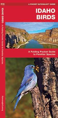 Idaho Birds: A Folding Pocket Guide to Familiar Species - Pocket Naturalist Guide Series