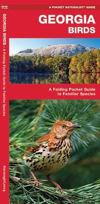 Georgia Birds: A Folding Pocket Guide to Familiar Species - Pocket Naturalist Guide Series