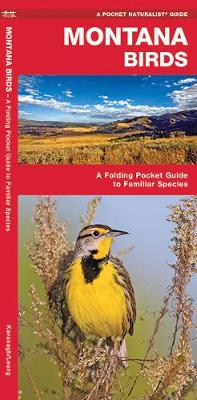 Montana Birds: A Folding Pocket Guide to Familiar Species - Pocket Naturalist Guide Series