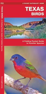 Texas Birds: A Folding Pocket Guide to Familiar Species - Pocket Naturalist Guide Series